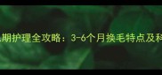德牧幼犬换毛期护理全攻略3-6个月换毛特点及科学应对方法