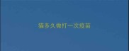 猫多久做打一次疫苗