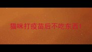 猫咪打疫苗后不吃东西