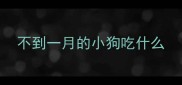 不到一月的小狗吃什么