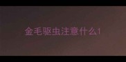 金毛驱虫注意什么