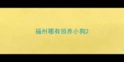 福州哪有领养小狗