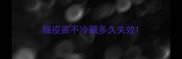猫疫苗不冷藏多久失效