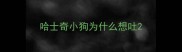 哈士奇小狗为什么想吐