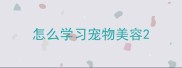 怎么学习宠物美容