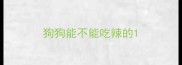 狗狗能不能吃辣的