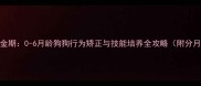 幼犬训练黄金期0-6月龄狗狗行为矫正与技能培养全攻略附分月训练方案