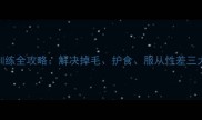 成年拉布拉多犬训练全攻略解决掉毛护食服从性差三大难题的实用指南