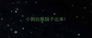 小狗拉屎肠子出来