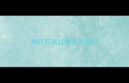 狗打疫苗过敏多久能好