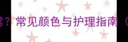 泰迪犬爪子颜色异常常见颜色与护理指南附专业养护方案