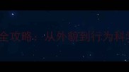 拉布拉多犬年龄判断全攻略从外貌到行为科学识别狗狗真实年龄