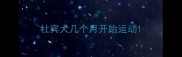 杜宾犬几个月开始运动