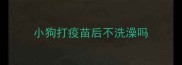 小狗打疫苗后不洗澡吗