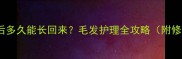 金毛剃毛后多久能长回来毛发护理全攻略附修剪技巧