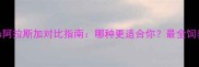 哈士奇vs阿拉斯加对比指南哪种更适合你最全饲养避坑手册