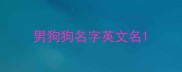 男狗狗名字英文名
