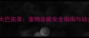 哈士奇幼犬坐大巴实录宠物运输安全指南与幼犬护理全攻略