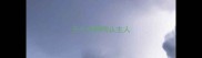 五个月狗狗认主人