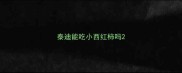 泰迪能吃小西红柿吗