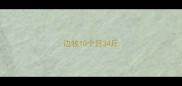 边牧10个月34斤