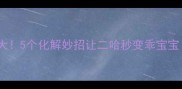哈士奇生气原因大5个化解妙招让二哈秒变乖宝宝附视频教程
