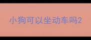 小狗可以坐动车吗