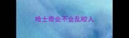 哈士奇会不会乱咬人