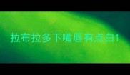 拉布拉多下嘴唇有点白