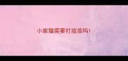 小家猫需要打疫苗吗