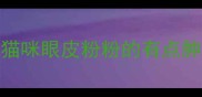 猫咪眼皮粉粉的有点肿