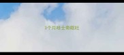 3个月哈士奇呕吐