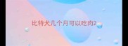 比特犬几个月可以吃肉