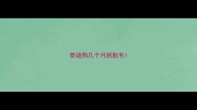 泰迪狗几个月脱胎毛