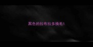 黑色的拉布拉多换毛