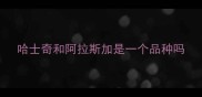 哈士奇和阿拉斯加是一个品种吗