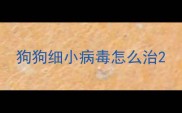 狗狗细小病毒怎么治