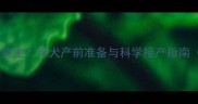 犬类孕期全怀孕多久能生母犬产前准备与科学接产指南附120天详细时间表