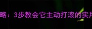 泰迪狗狗打滚训练全攻略3步教会它主动打滚的实用技巧附训练视频
