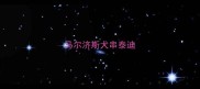 马尔济斯犬串泰迪