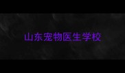 山东宠物医生学校