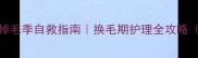 哈士奇阿拉斯加掉毛季自救指南换毛期护理全攻略附防脱饮食清单