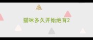 猫咪多久开始绝育