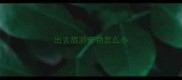 出去旅游宠物怎么办