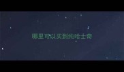 哪里可以买到纯哈士奇