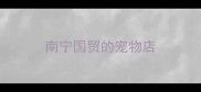南宁国贸的宠物店
