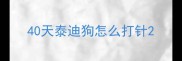 40天泰迪狗怎么打针