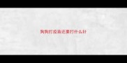 狗狗打疫苗还要打什么针