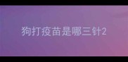 狗打疫苗是哪三针