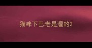 猫咪下巴老是湿的